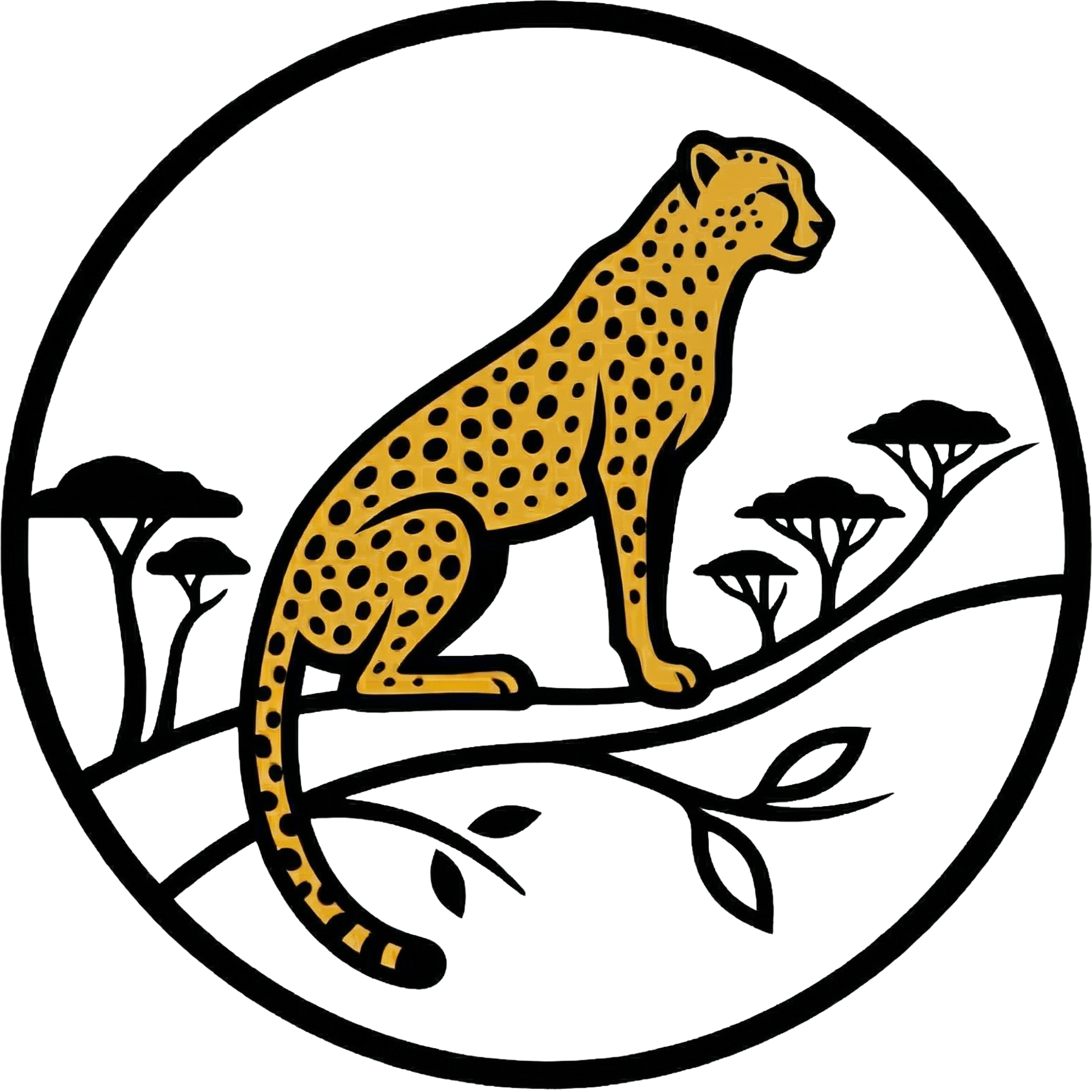 COTT Logo